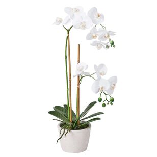 52 cm Real Touch Potted Orchid White 52 cm