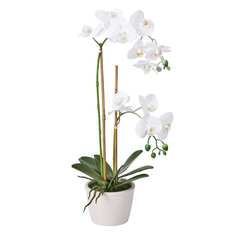 52 cm Real Touch Potted Orchid