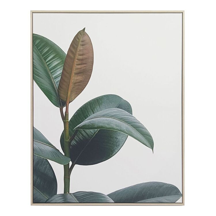 KOO Foliage Framed Print