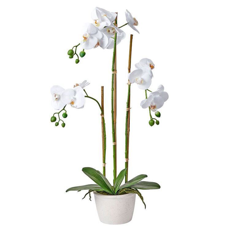 Botanica 70 cm Real Touch Potted Orchid