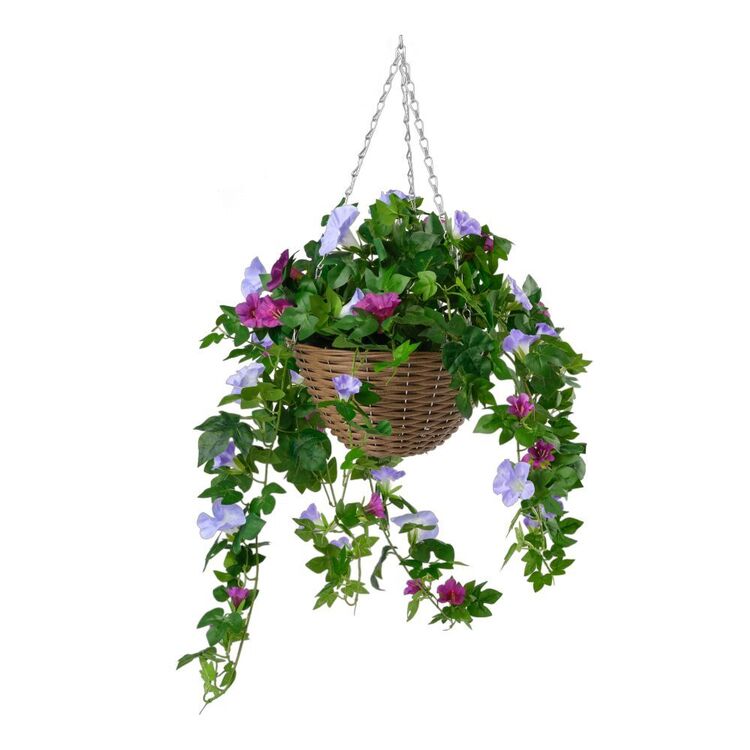 Botanica Petunia In Hanging Basket