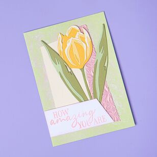 Sizzix Thinlits By Lisa Jones Spring Flowers 11 Pack Spring Flowers