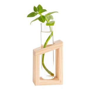Propagation Station Single With Timber Base Natural