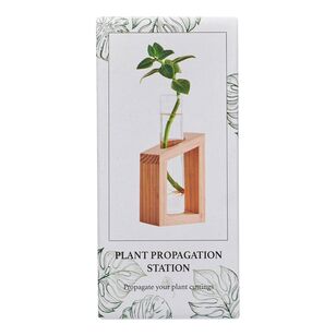 Propagation Station Single With Timber Base Natural