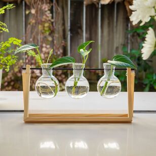 Propagation Station Triple With Timber Base and Metal Arm Natural