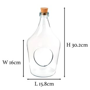 Terrarium Open Bottle Clear