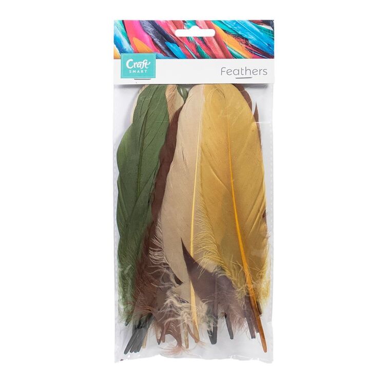Craftsmart Goose Feathers 24 Pack