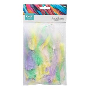 Craftsmart Pastel Rooster Feathers Pastel 15 cm