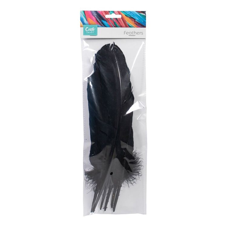 Craftsmart Eagle Quill Feathers 6 Pack