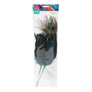 Craftsmart Peacock Feather Picks 2 Pack Multicoloured 35 cm