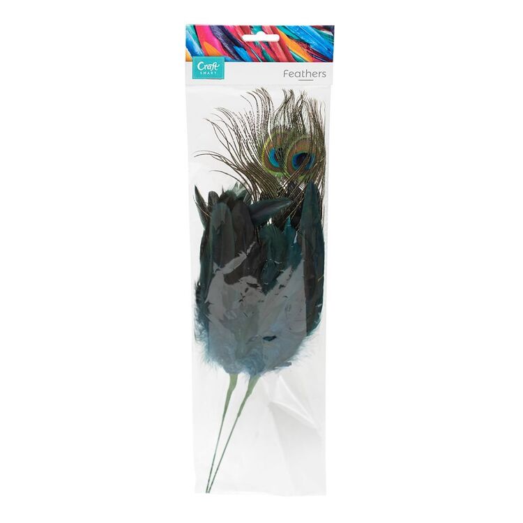 Craftsmart Peacock Feather Picks 2 Pack