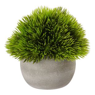 KOO Small Potted Hedge #2 Green 12,7 x 12 cm