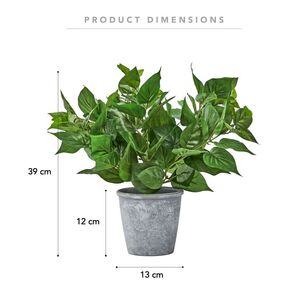 Ivy In Melamine Pot Green 39 cm
