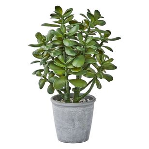 Jade In Melamine Pot Green 39 cm