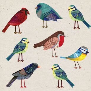Paper + Design Birds Luncheon Napkins 20 Pack Multicoloured 33 x 33 cm