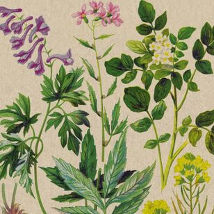 Paper + Design Botanical Pattern Luncheon Napkins 20 Pack Multicoloured 33 x 33 cm