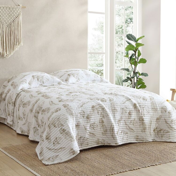 Comforter Sets Erlets Spotlight