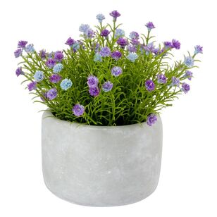 KOO Small Lilac Wild Flower in Cement Pot Lilac 17 x 18 cm