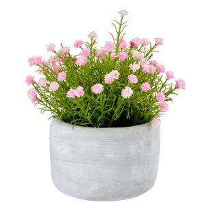 KOO Small Pink Wild Flower in Cement Pot Pink 16 x 17 cm