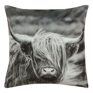 Brampton House Photo Real Cushion Highland Cow 45 x 45 cm