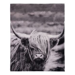 Brampton House Printed Super Soft Highland Cow Blanket Multicoloured 180 x 220 cm