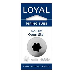 Loyal No. 1M Stainless Steel Open Star Medium Piping Tip Grey