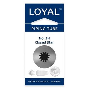 Loyal No.2H Stainless Steel Closed Star Medium Piping Tip Grey