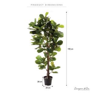 Cooper & Co Premium 190 cm Fiddle Leaf Plant Green 190 cm