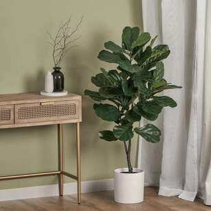 Cooper & Co Premium 120 cm Fiddle Leaf Plant Green 120 cm