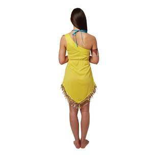 Disney Pocahontas Deluxe Adults Costume Multicoloured Small