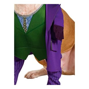 Warner Bros The Joker Pet Costume Multicoloured