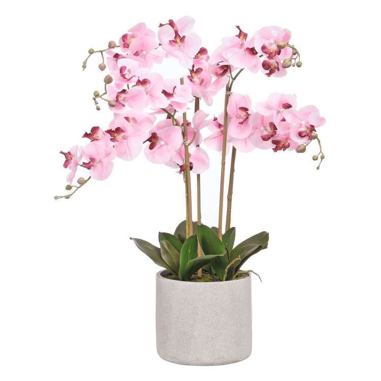 Cooper & Co Five Stem Artificial Orchid