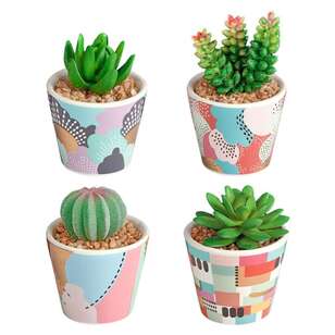 Cooper & Co Pop Potted Succulents Set Of 4 Multicoloured