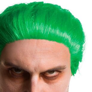 DC Comics The Joker Adult Wig Multicoloured Adult