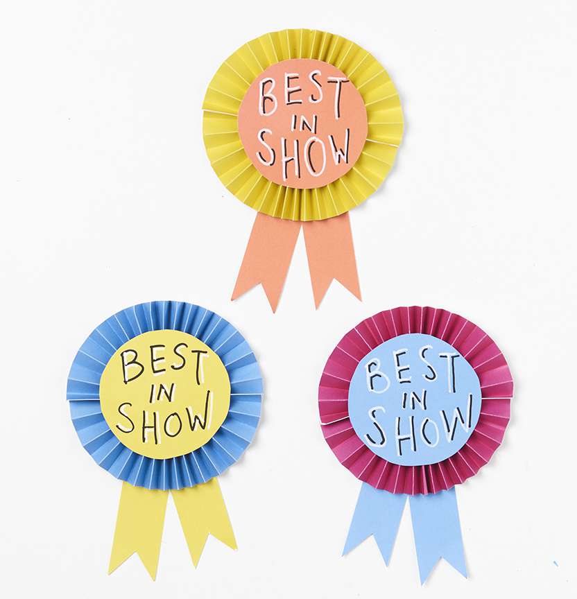Best In Show Ribbon Project