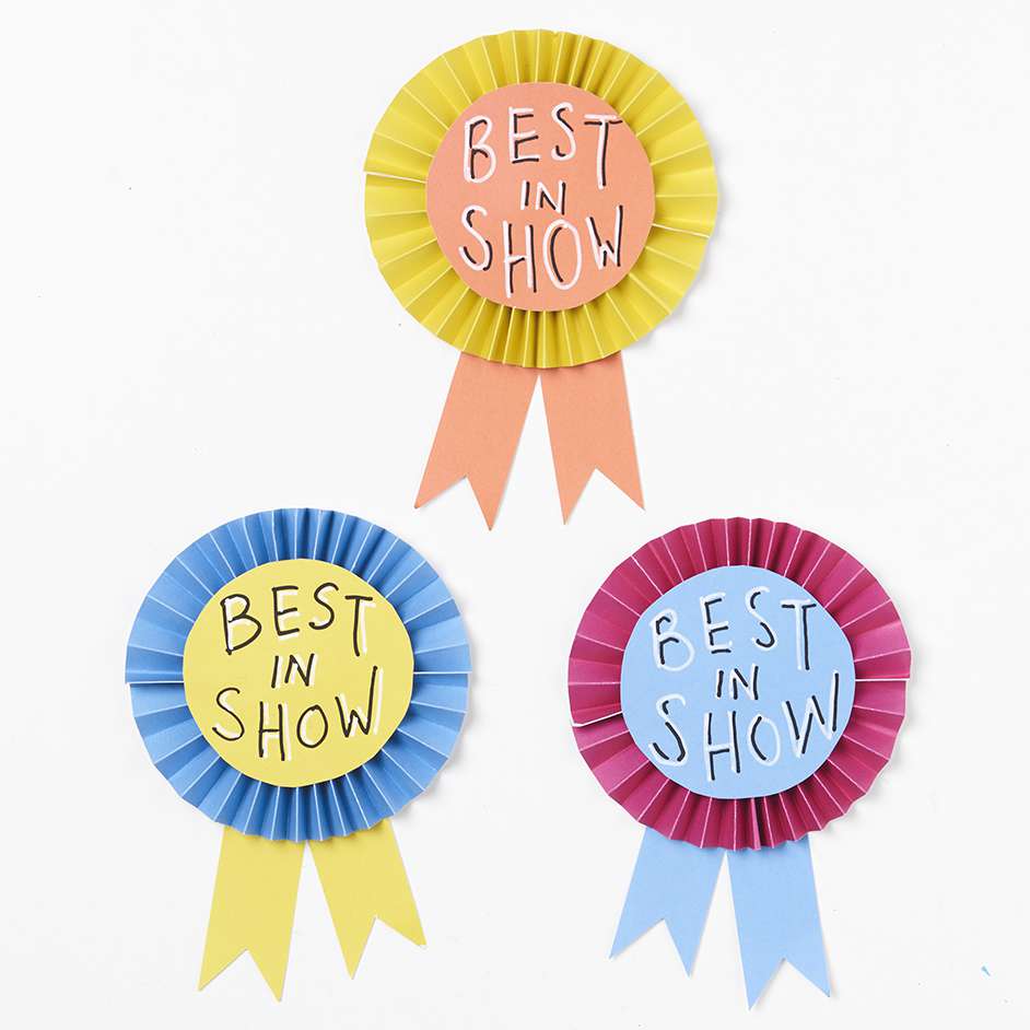 Best In Show Ribbon Project