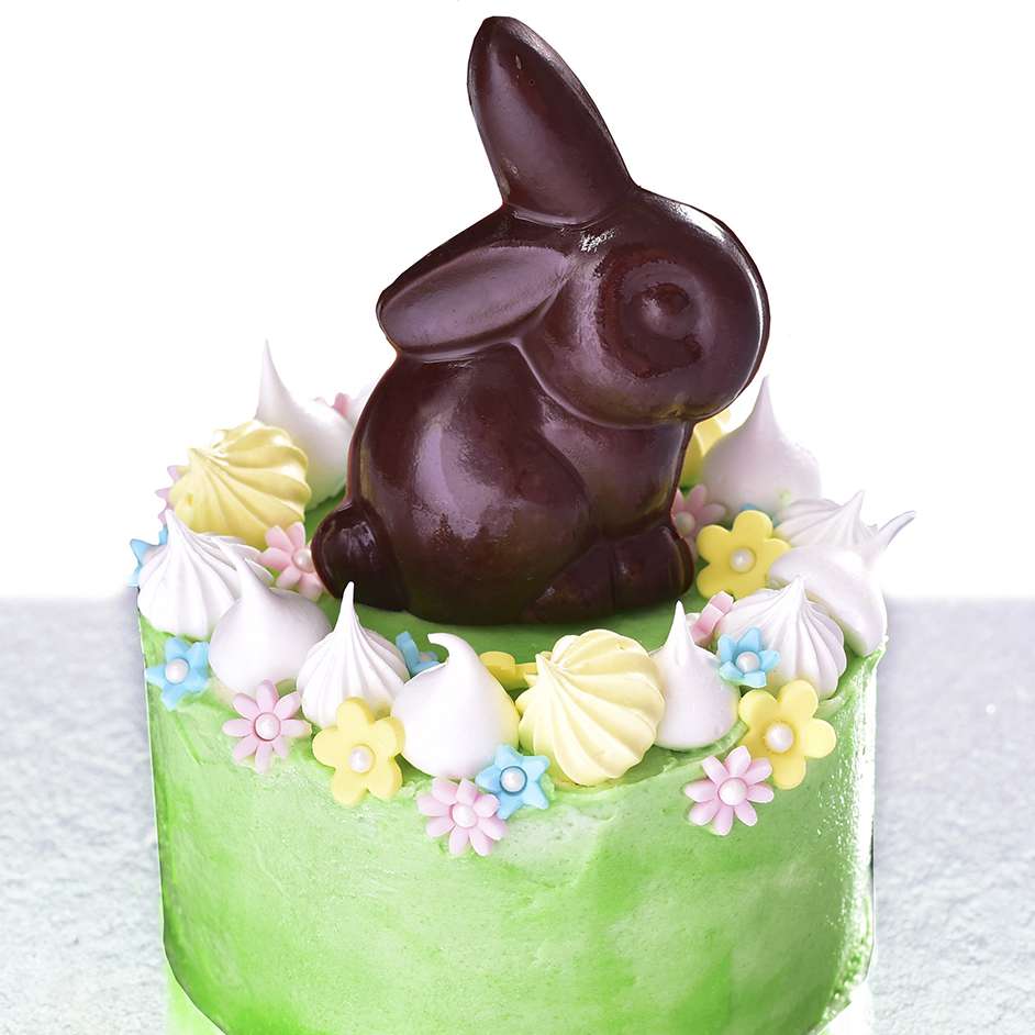 Bunny In The Garden Cake Project