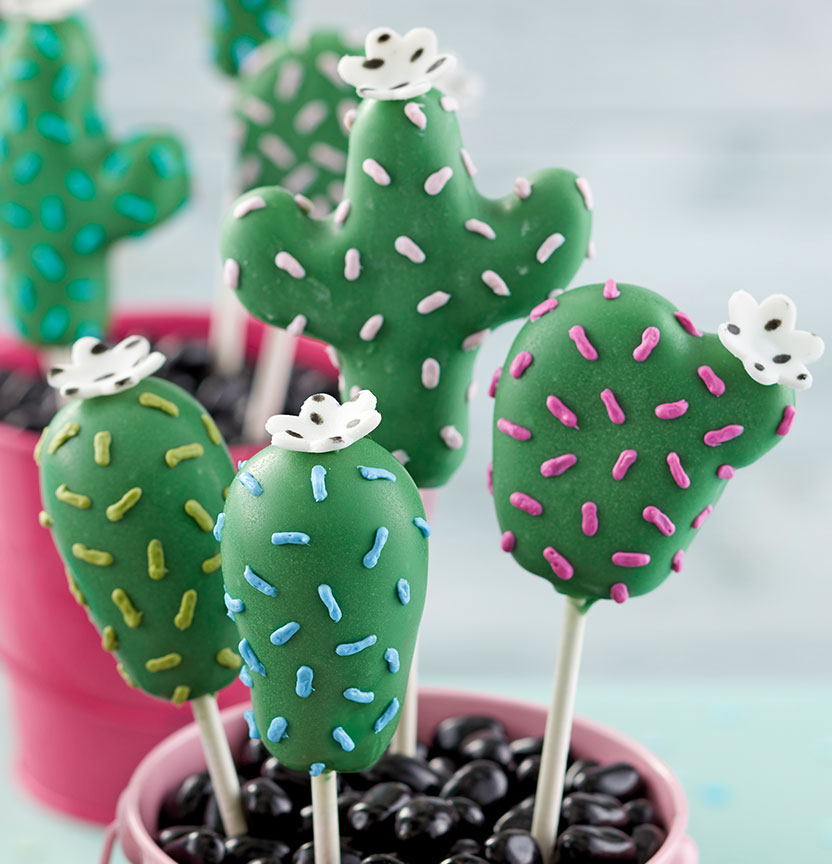 Cactus Pops Project