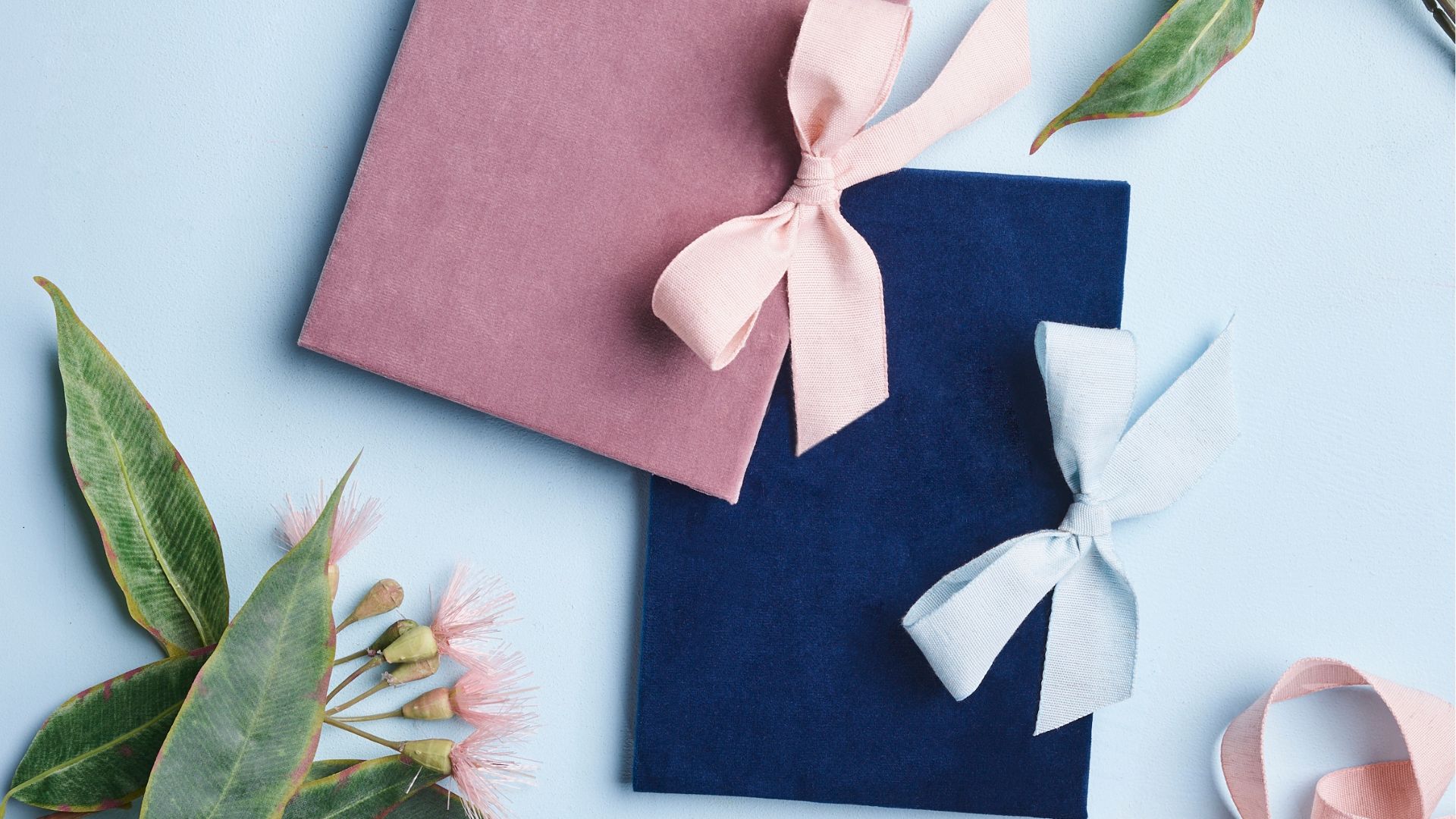 Project Velvet Celebrate World Book Day with Spotlight | Spotlight New Zealand