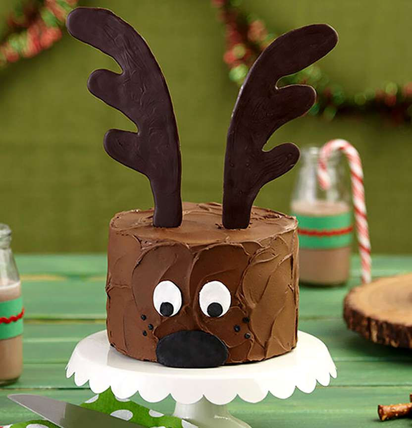 Christmas Reindeer Cake Project