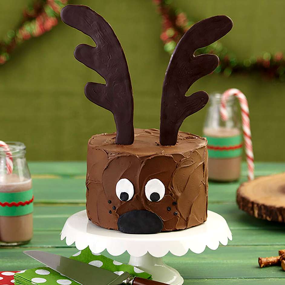 Christmas Reindeer Cake Project