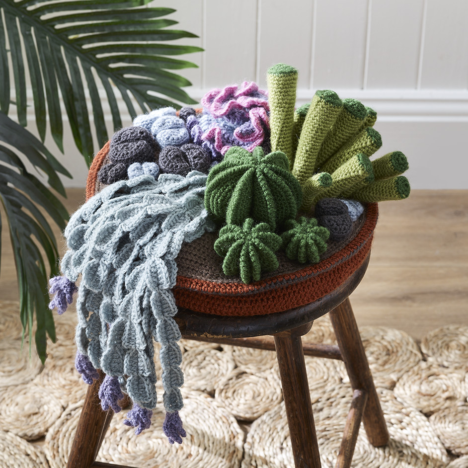 Crochet Cactus Garden Project