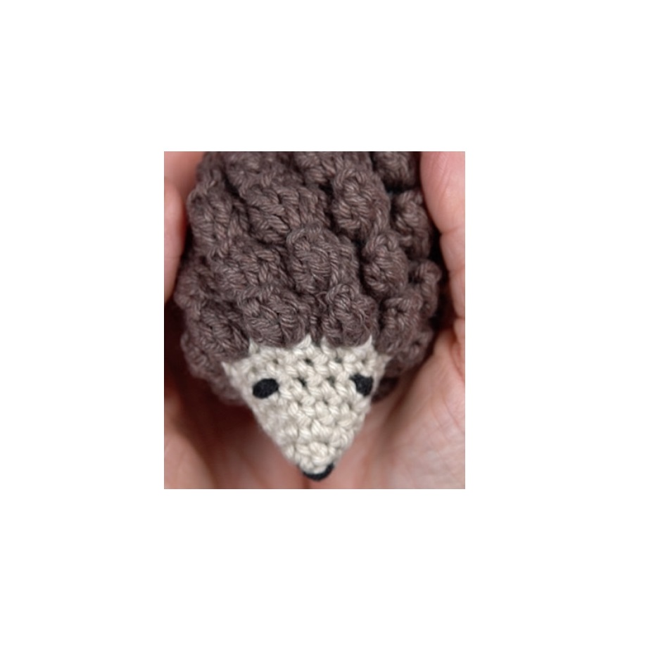 Crochet Hedgehog Project