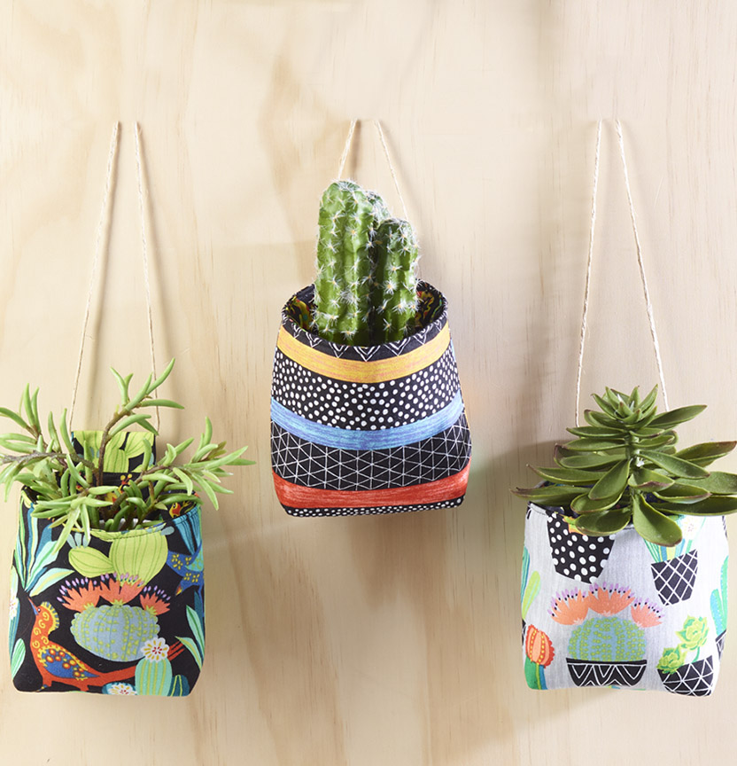 Hanging Cactus Club Holders Project