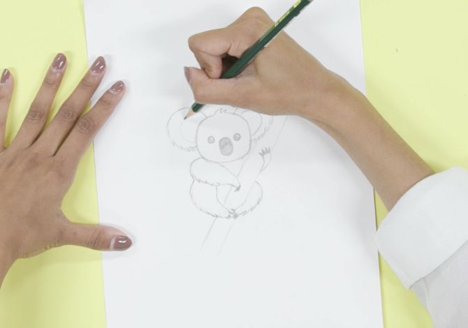 How to draw a koala
