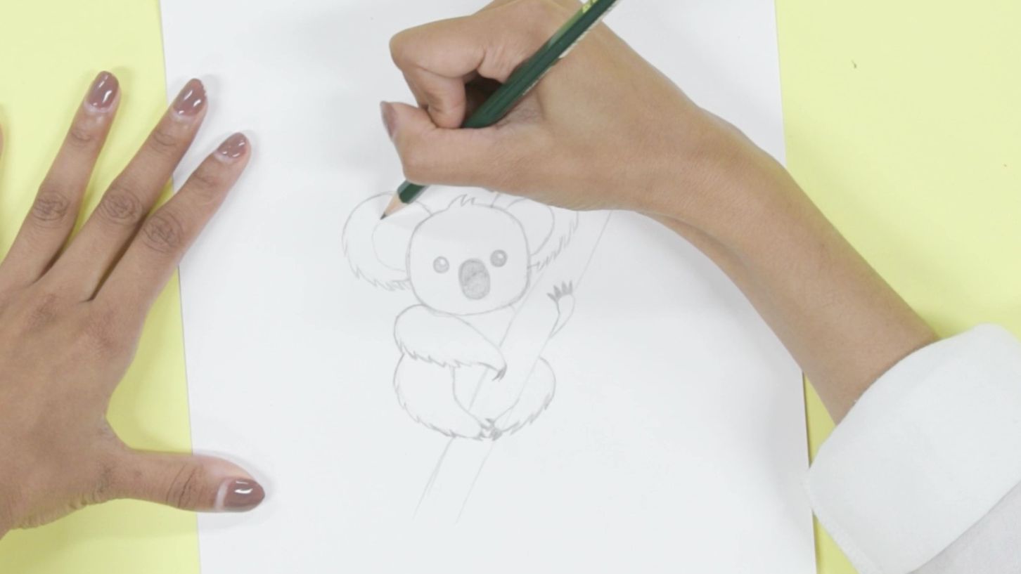 How to Draw & Paint a Koala