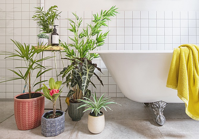 Real Plants? Faux Plants? Here's How To Mix Them Together
