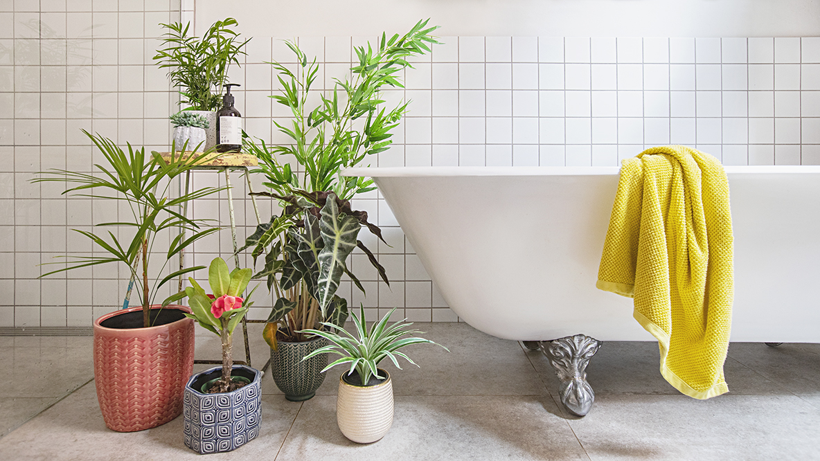 Real Plants? Faux Plants? Here's How To Mix Them Together