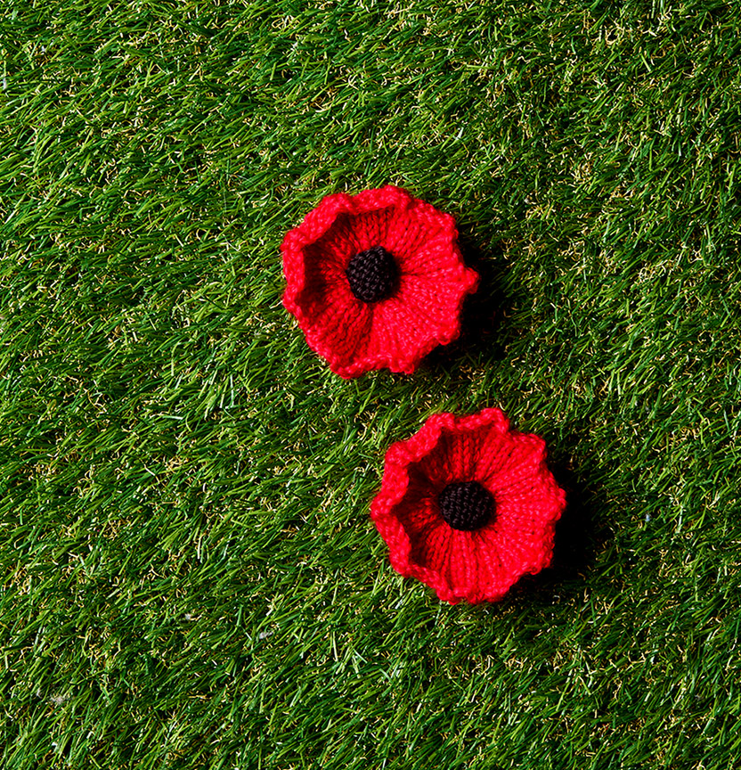 Knitted Rememberance Poppy Project