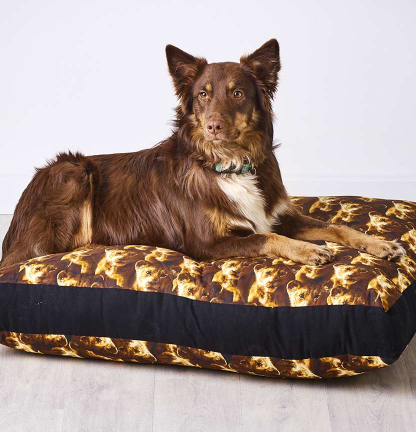 Lion King Dog Bed Project